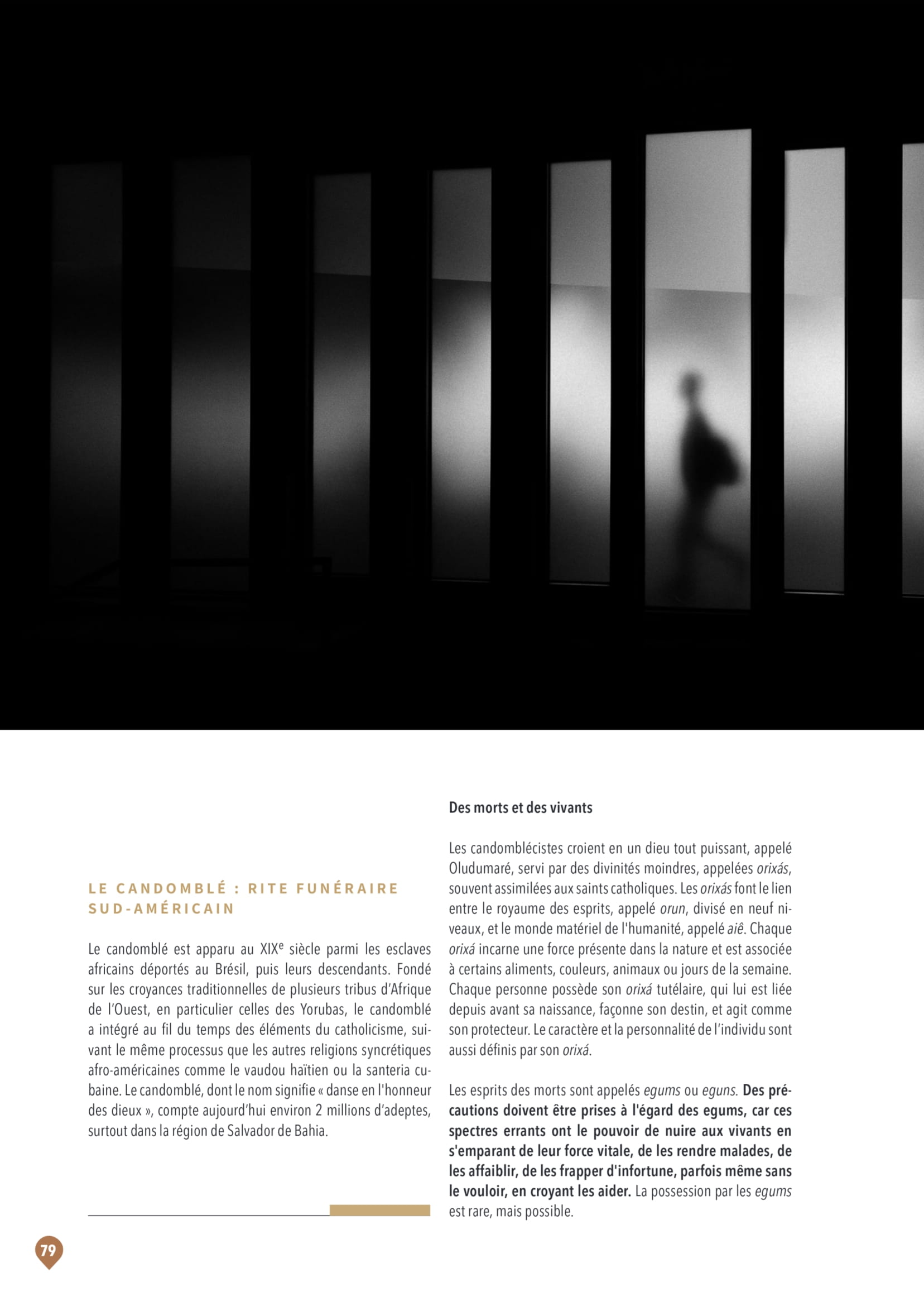 N39_LCB_WEB_2_cultures_mort-5