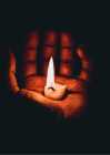 N39_LCB_WEB_2_cultures_mort-2